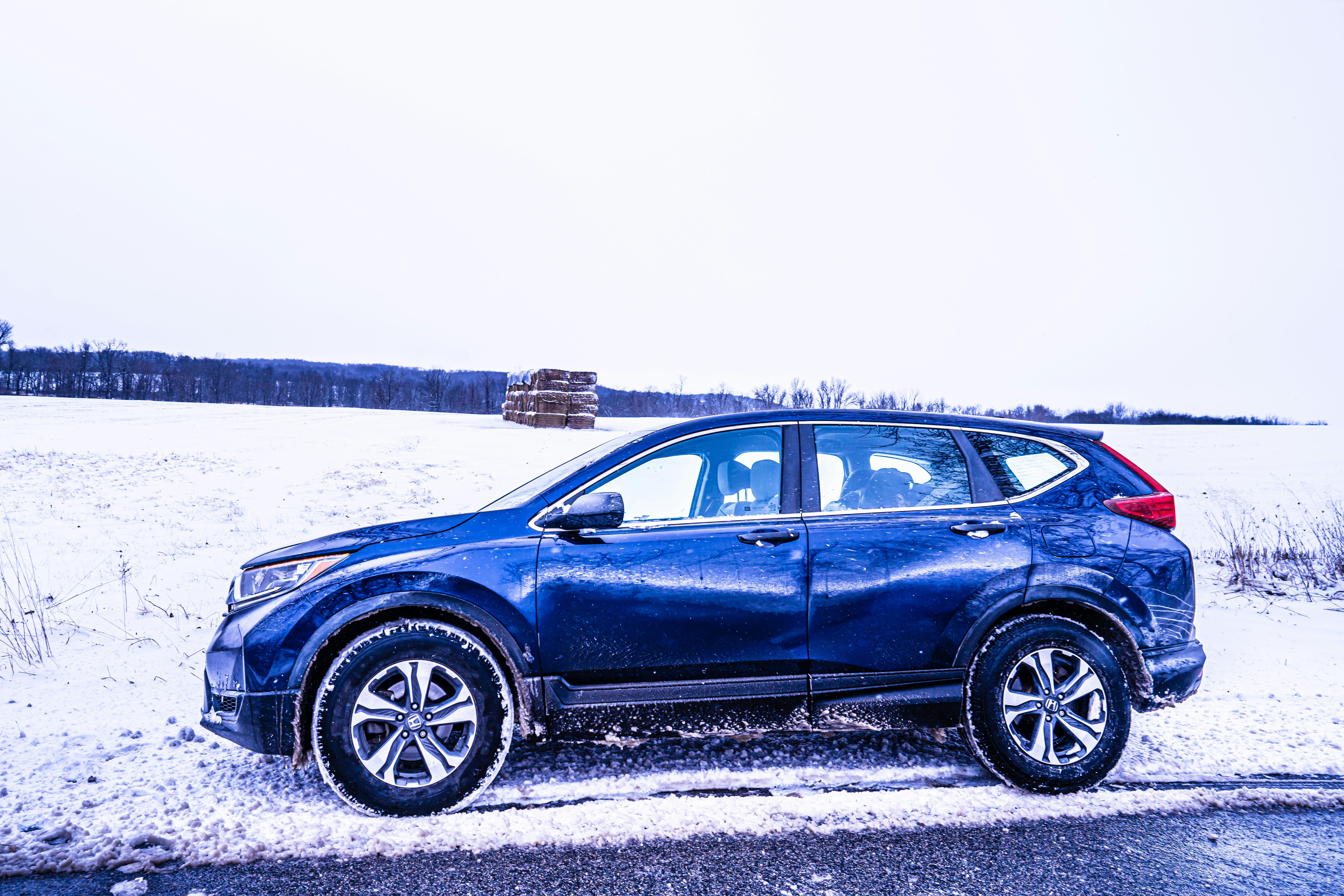 DB Autos - Professional Vehicle Concierge Services